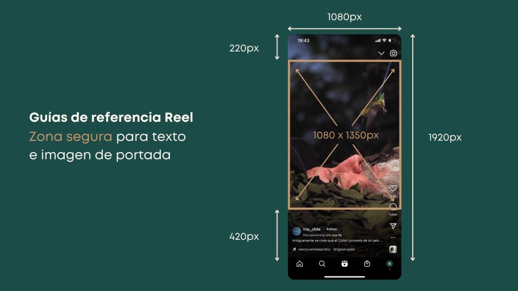 4 Fundamentos Del Reel En Instagram